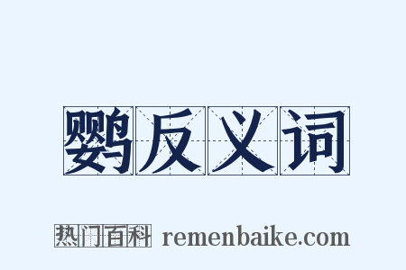 鹦反义词是什么意思的图片